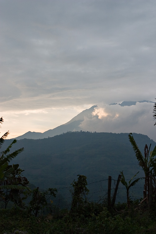 View to Mt. Kinabalu