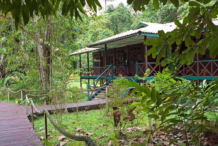 Accommodation at Gunung National Park HQ