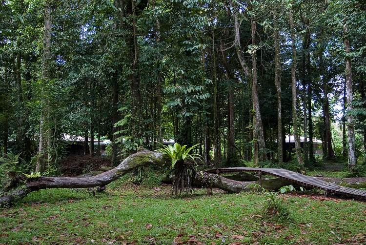 Walking tracks around the accommodation