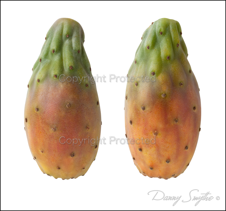 Cactus Pears.jpg