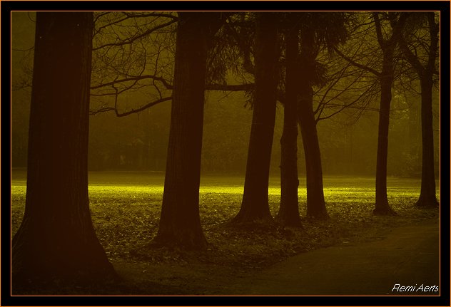 winter Bokrijk