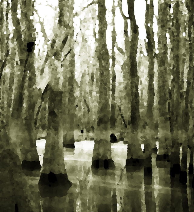 Congaree Art