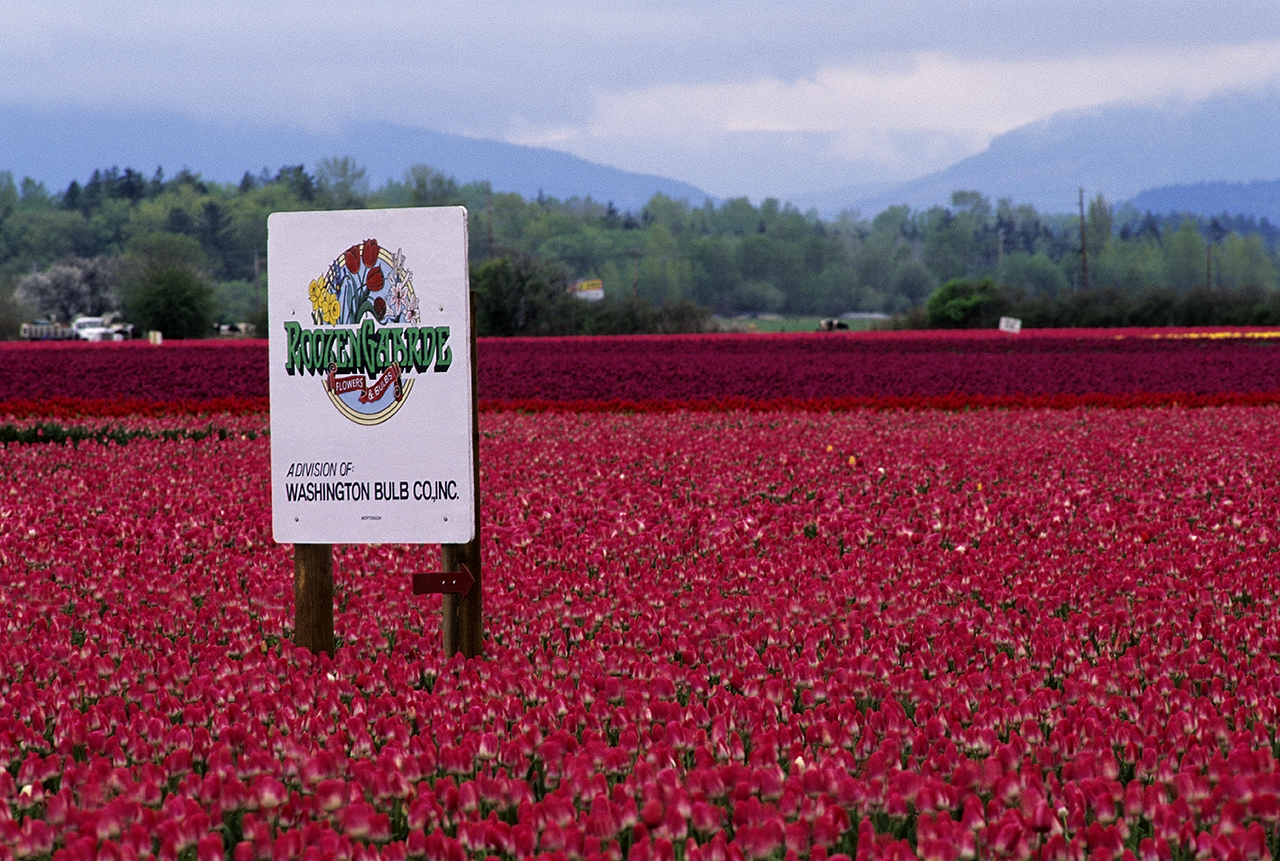 Skagit Valley