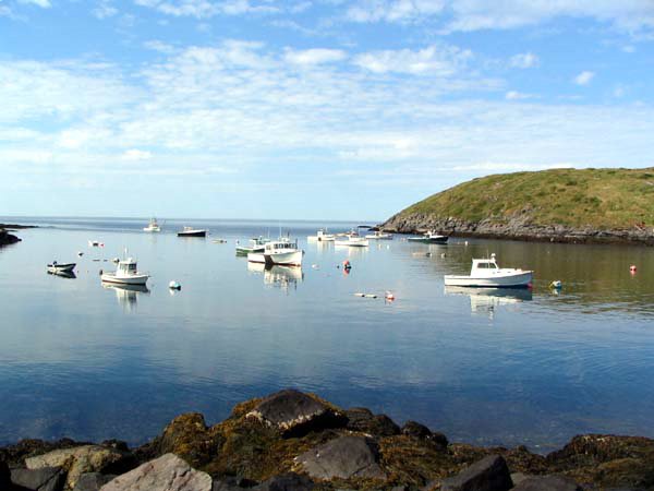 Monhegan Harbor In Calm Weather