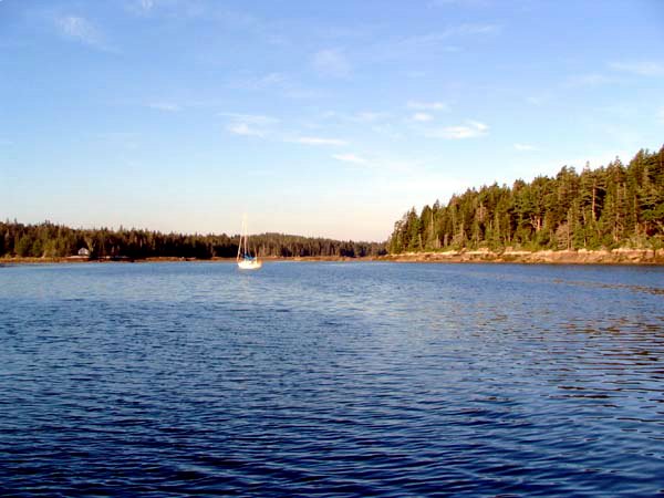 Seal Bay - Vinalhaven