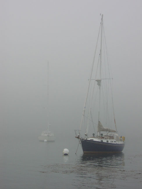 Foggy Harbor