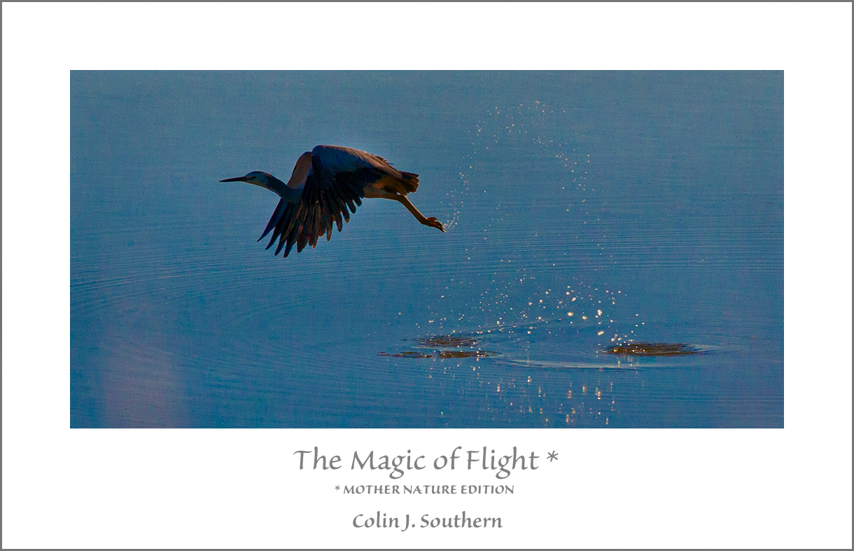 The Magic of Flight