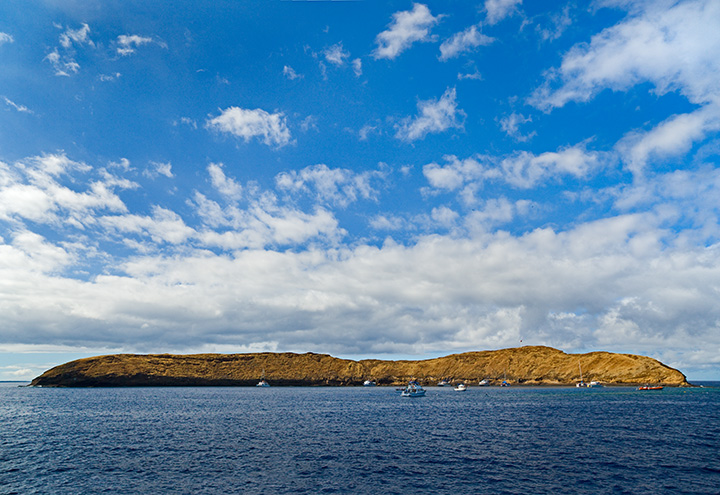 Molokini