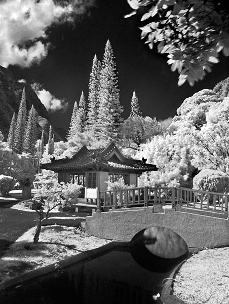 Chinese Pagoda (PICT0319)