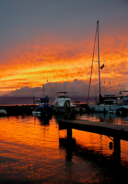 Lahaina Harbor - Ke Ahi