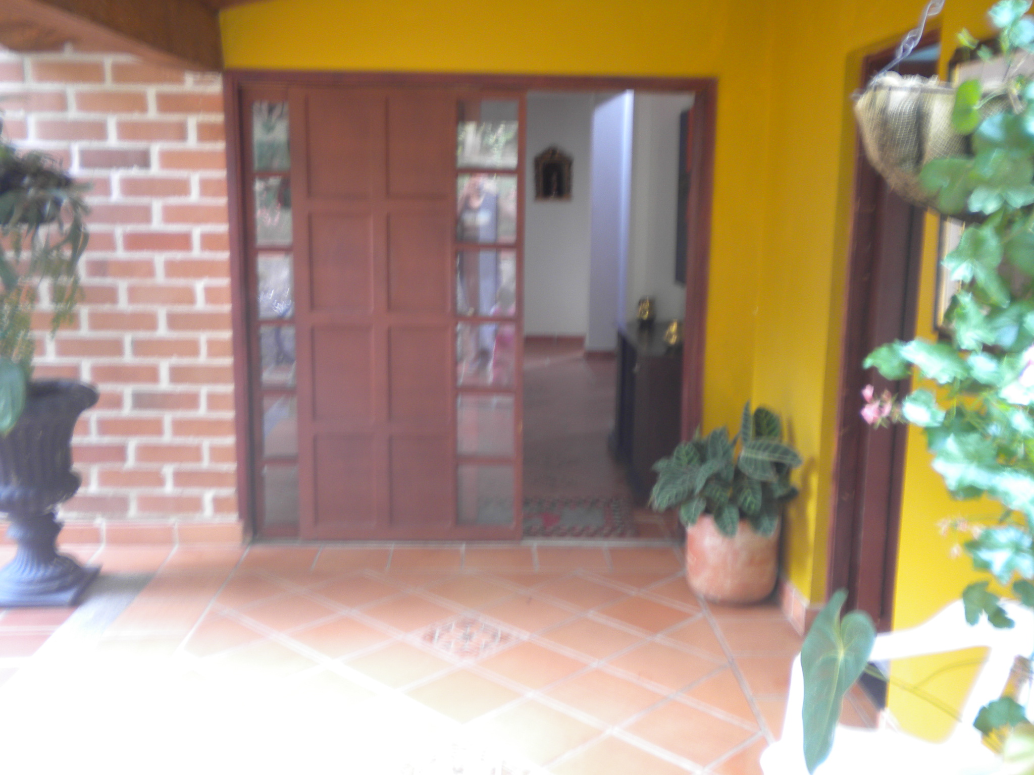DSCN4200.JPG