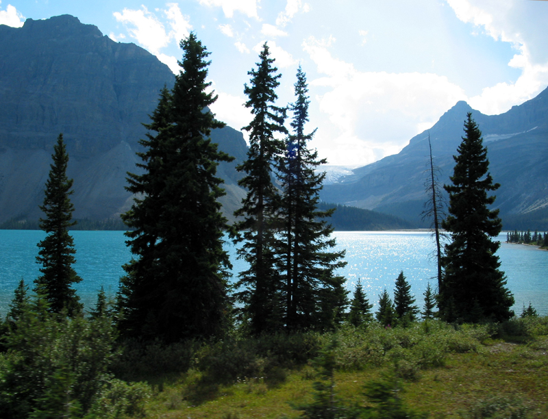 Sentinels Of The Lake