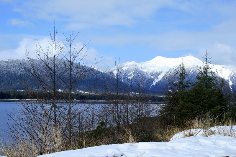_MG_3677.jpg