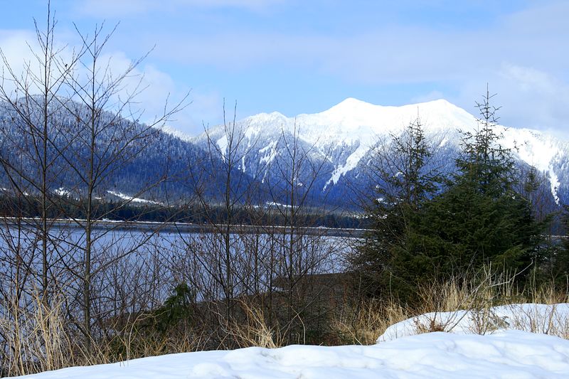 _MG_3678.jpg