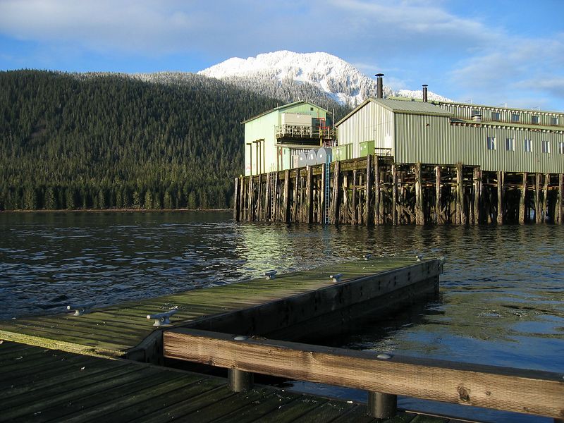 Petersburg Mountain and Ocean Beauty