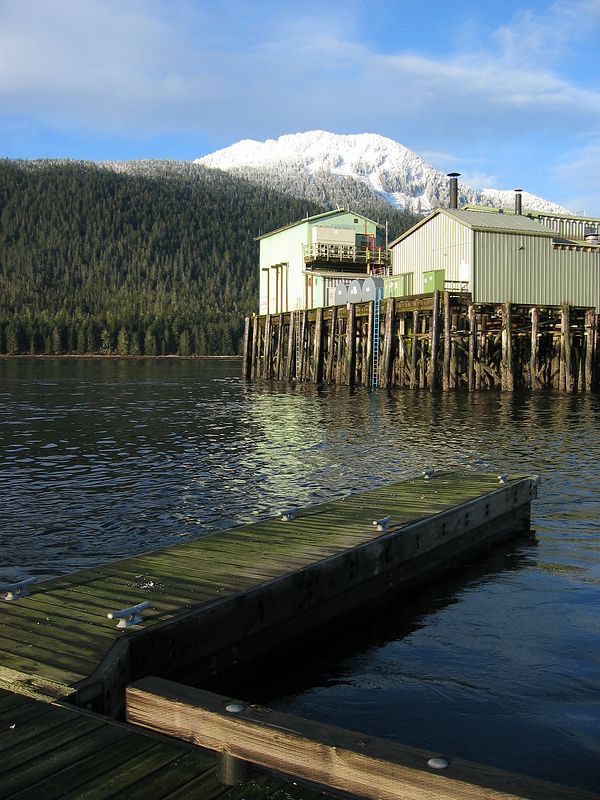 Petersburg Mountain and Ocean Beauty