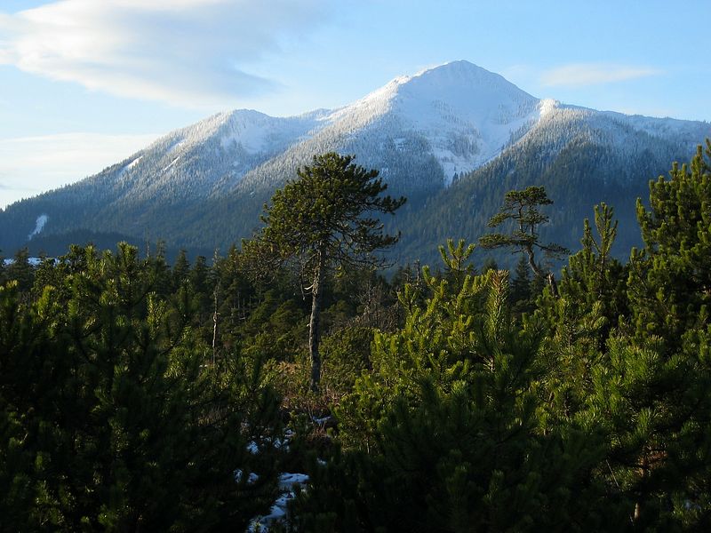 Muskeg and Bear Claw Mountain