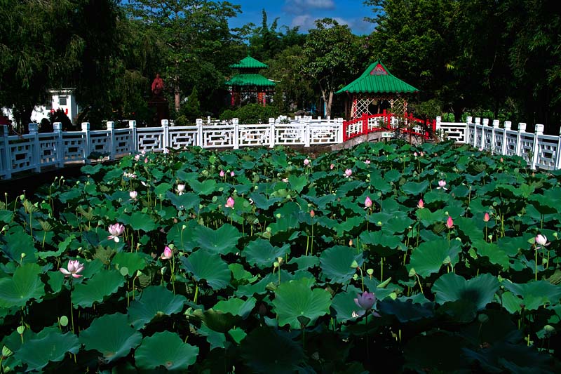 Wun Chuen Sin Koon 雲泉仙館