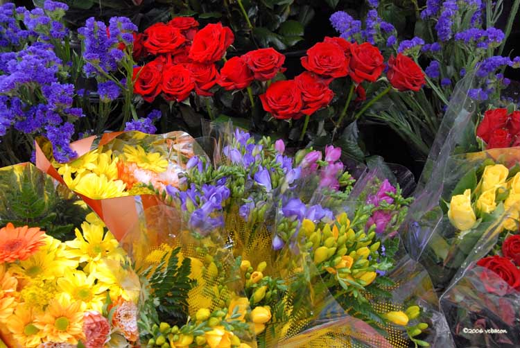 Flower Stall at Earls Court