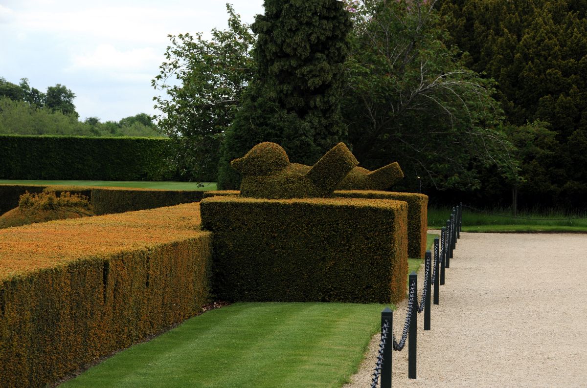 May 19, Blenheim Palace Hedge