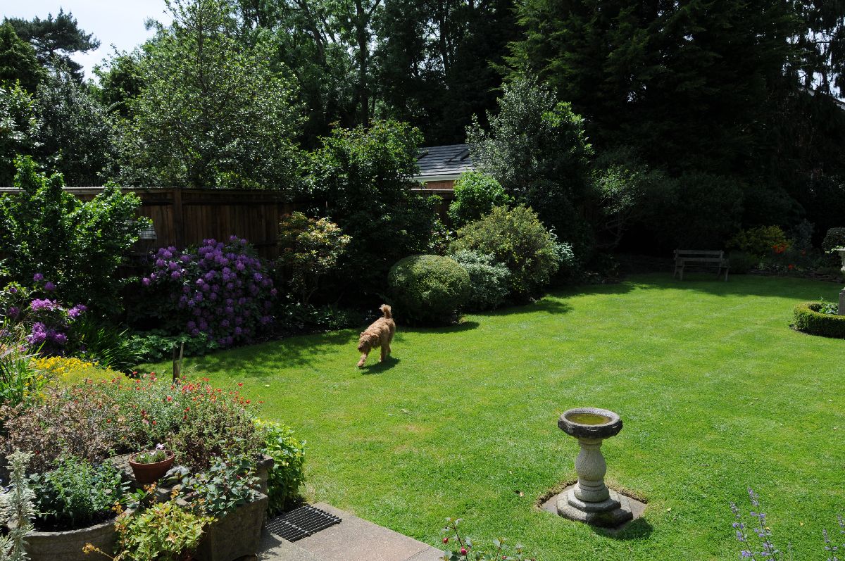 May 29, Ethels House & Garden