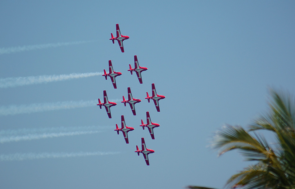 Canadian snowbirds in Florida