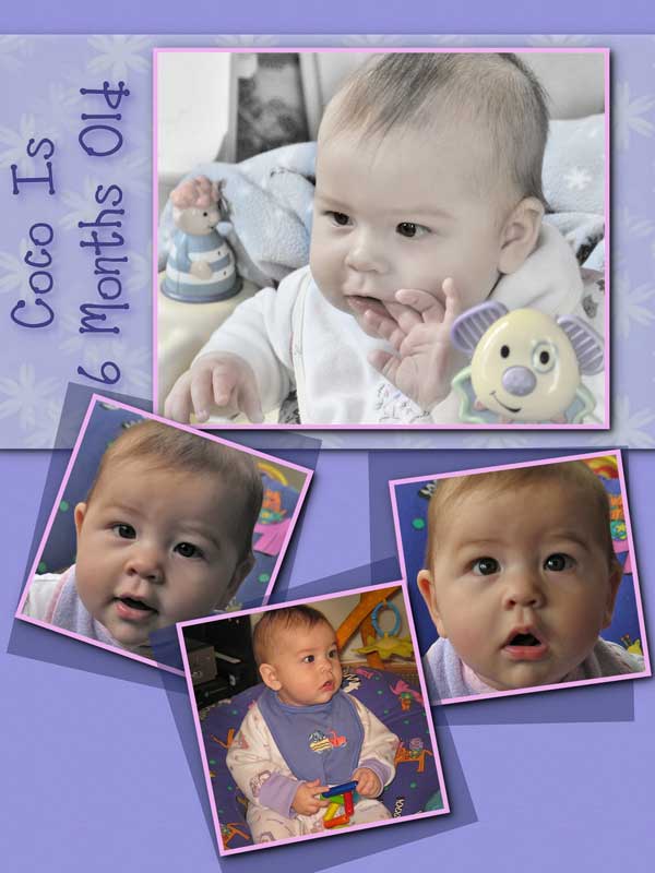Coco Is 6 Months Old