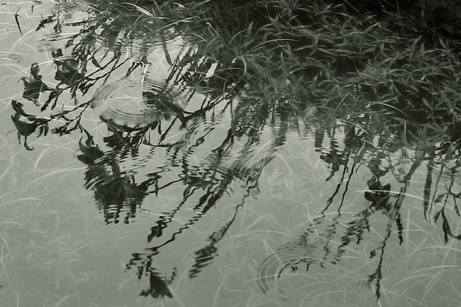ReflectionBW6829-w.jpg