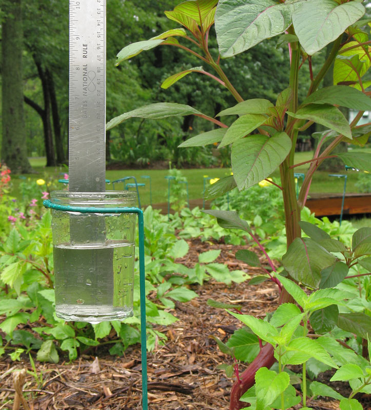 Rain Gauge