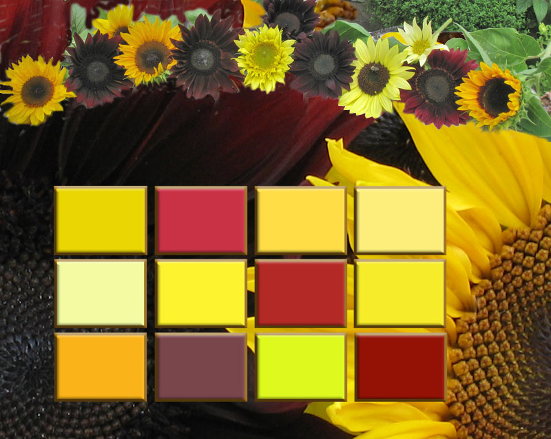 New Palette