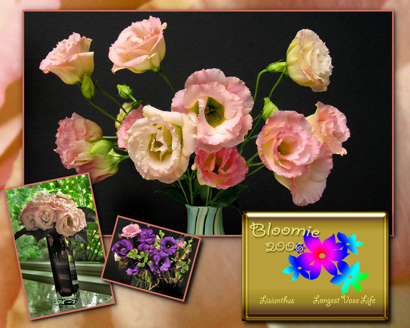 Lisianthus