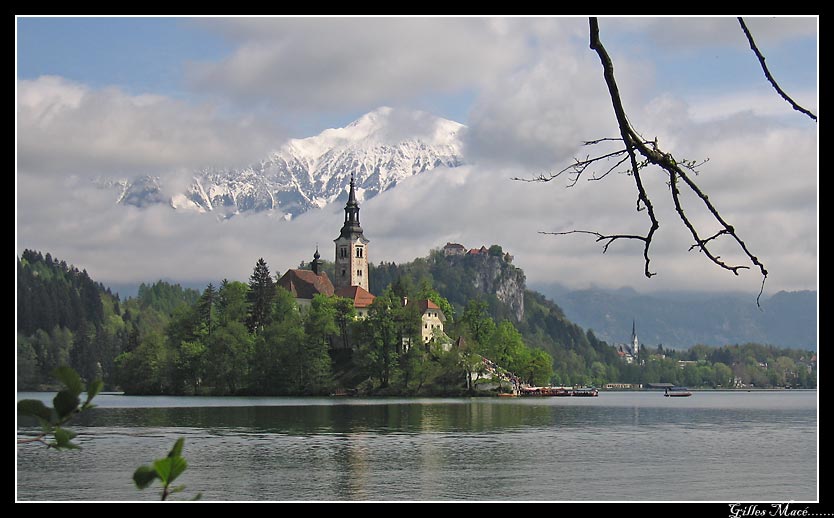 Slovenia, Bled 7141.jpg