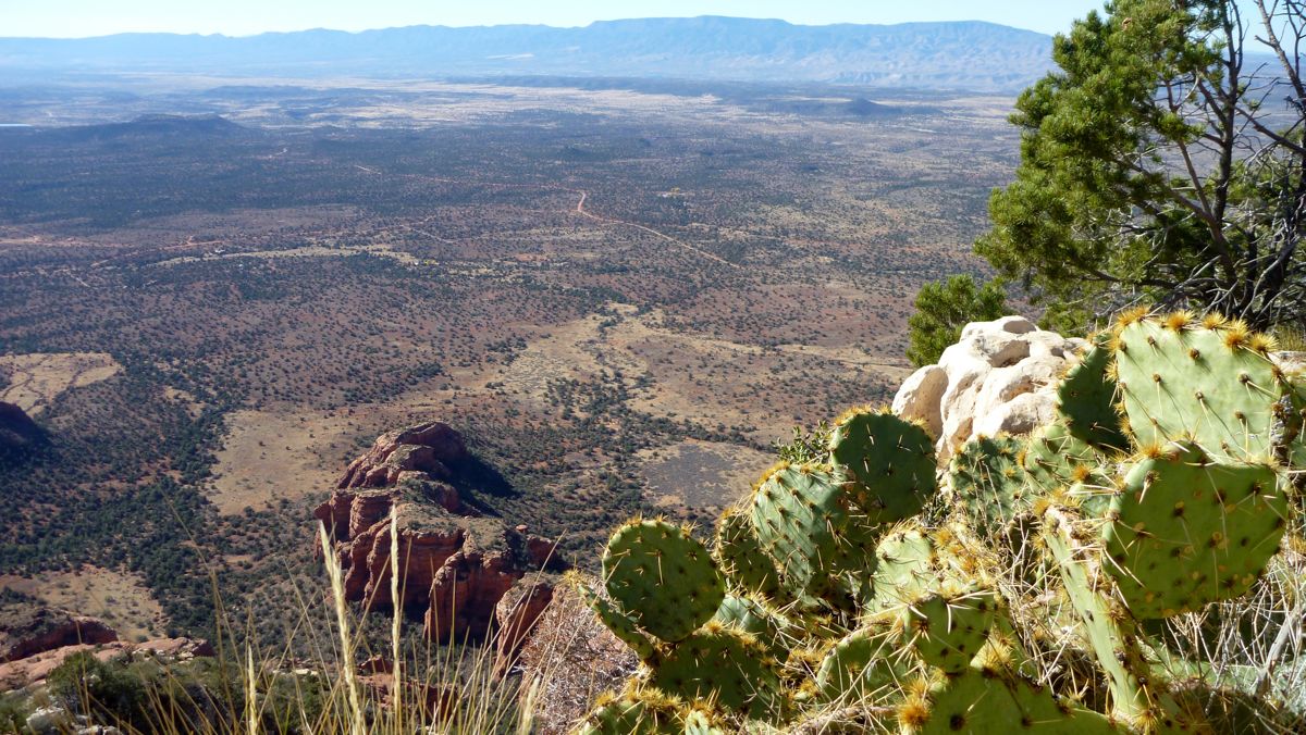 The view south