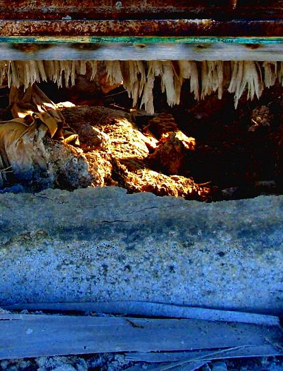 salton sea 14