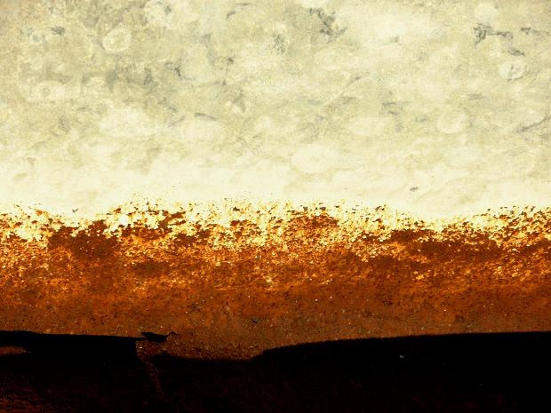 salton sea 29
