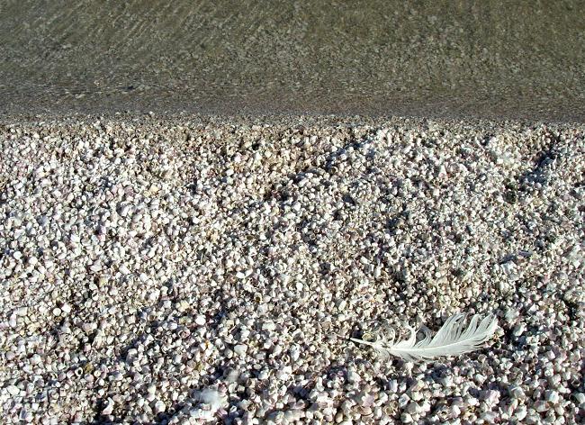 salton sea 49