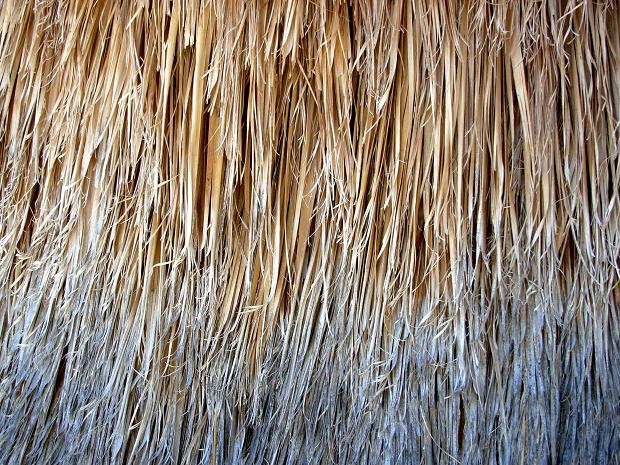 borrego springs 22