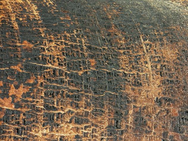 borrego springs 31
