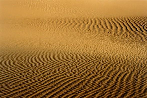 early morning, mesquite flat dunes 01, death valley, 2003