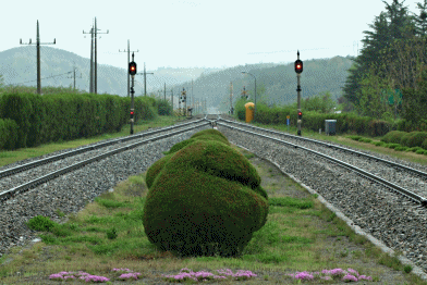 train approaching 화본역