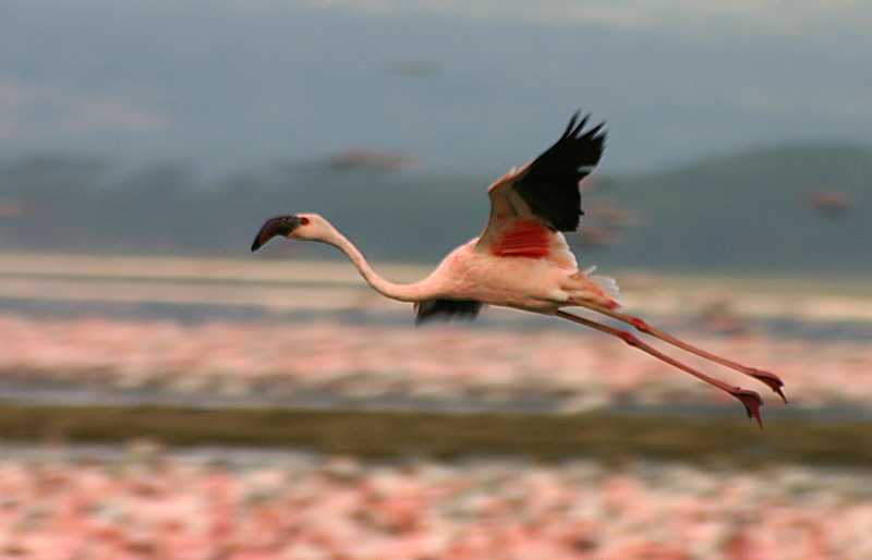 East Africa '06 - PhotoBlog