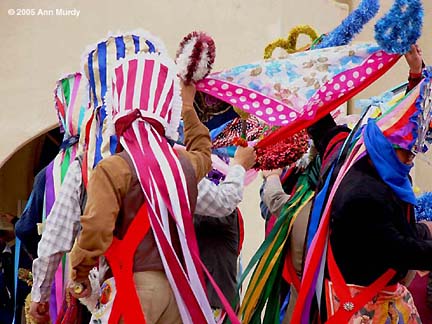 Profusion of Color - Tortugas Danzantes