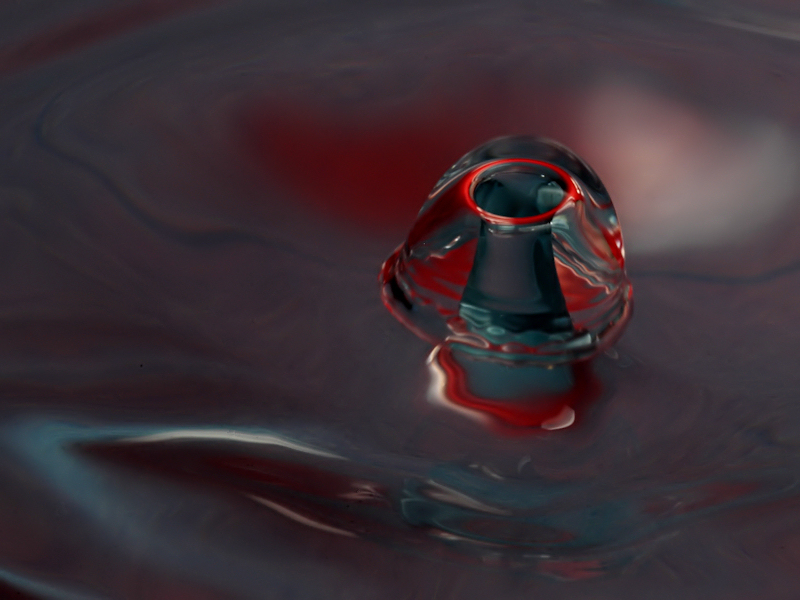 Water Drop Mushroom