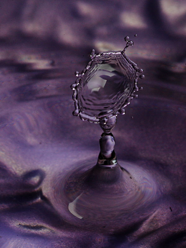 Splash of the Night