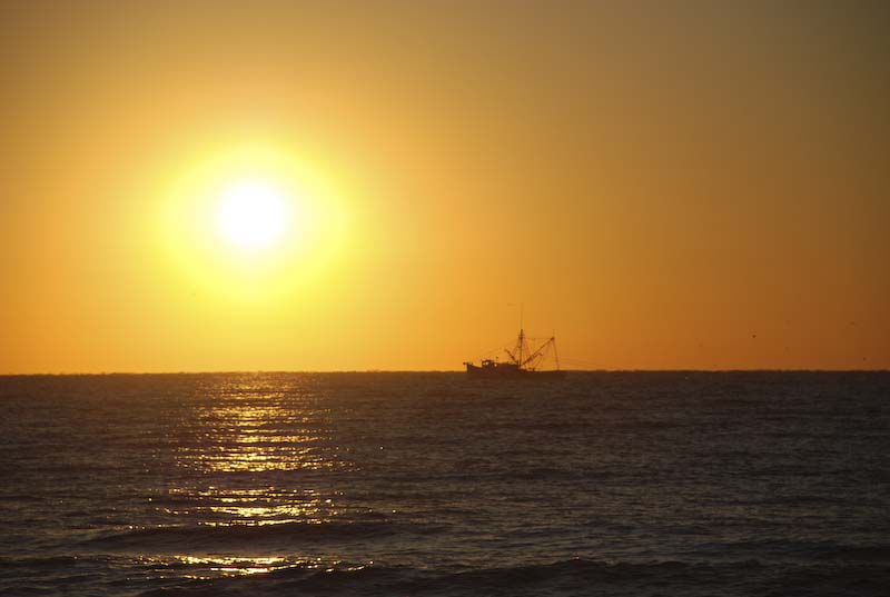2007 Edisto (110 of 218).jpg