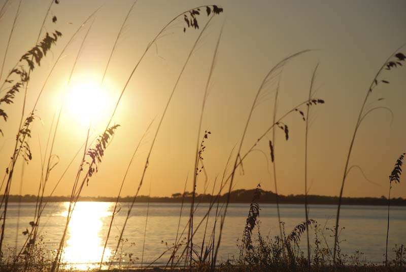 2007 Edisto (129 of 218).jpg