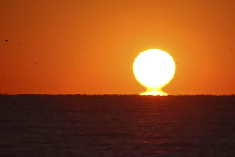 2007 Edisto (57 of 218).jpg