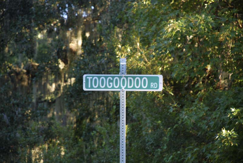 2007 Edisto (93 of 104).jpg