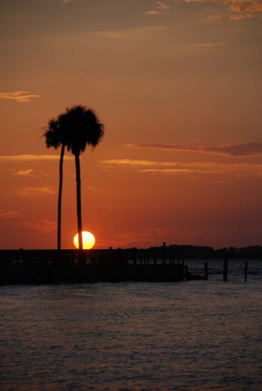 2007 Edisto (270 of 287).jpg