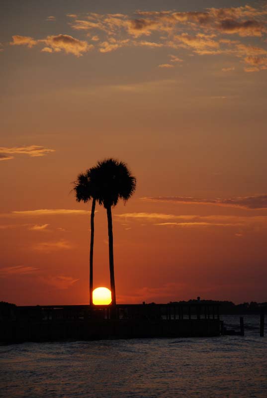 2007 Edisto (275 of 287).jpg